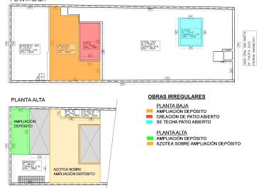 PLANTA